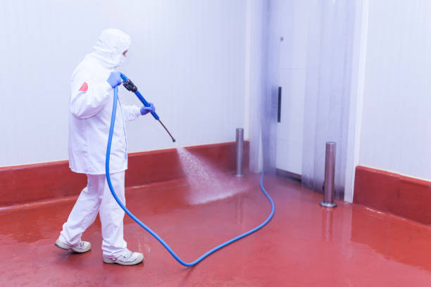 Best Dumpster Area Cleaning  in North Palm Beach, FL